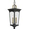 Progress Lighting Chatsworth Collection Black Two-Light Hanging Lantern P550067-031 - alternate 1